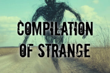 Compilation of Strange | Episode 128 Compilation of Strange | Episode 128